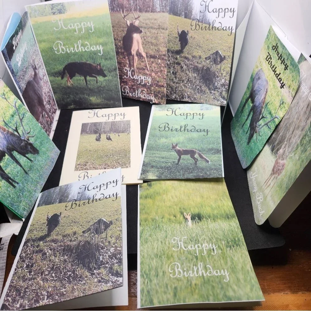 Hand Crafted Nature-Themed Birthday Cards Set Of 12